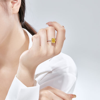 [Nova Jewelry]4.0 Carat Luxurious Engagement Ring